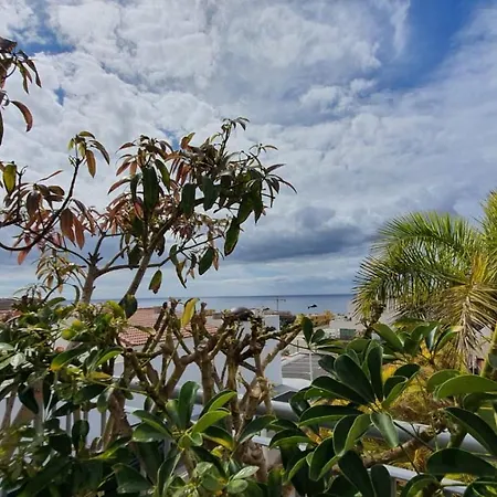 Magnolia Luxury By Altamarhomes *